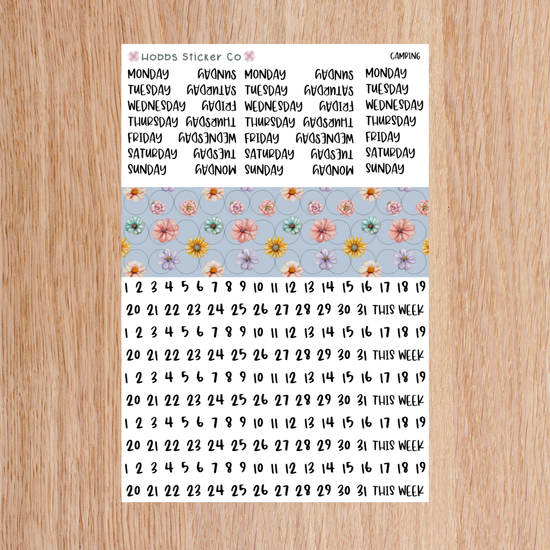 Camping Days and Numbers Scripts Junior