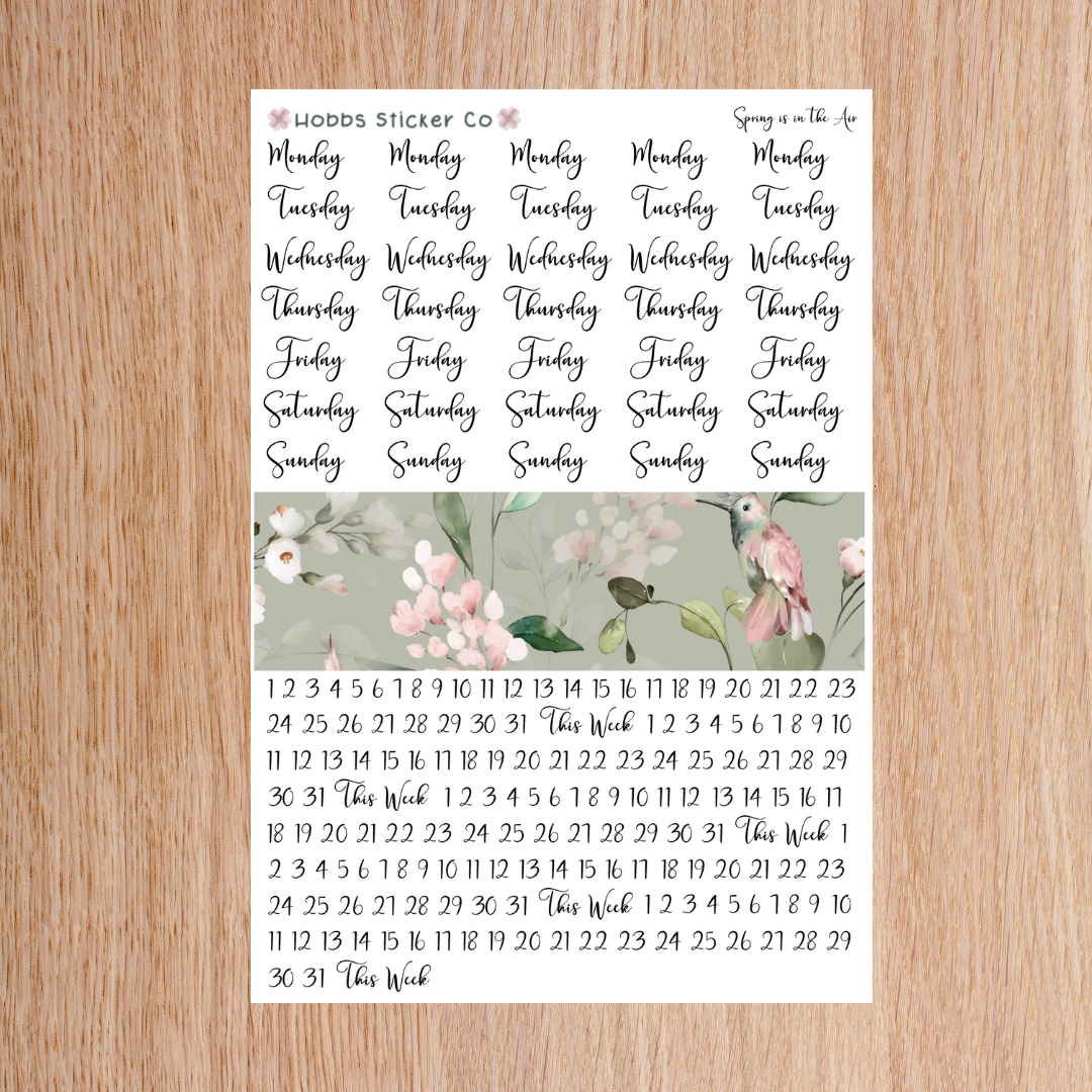 Spring is in the Air Days and Numbers Scripts Regular