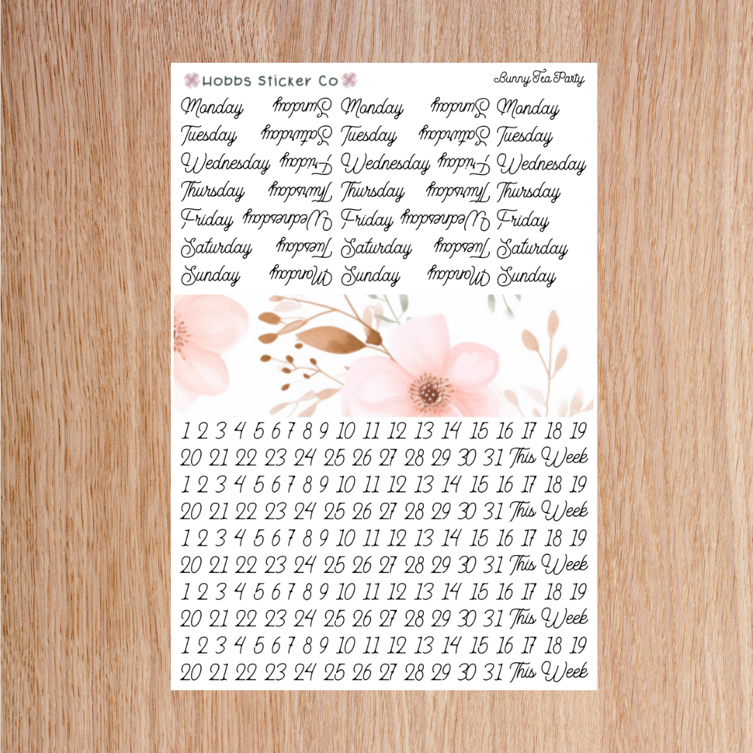 Bunny Tea Party Days and Numbers Scripts Regular
