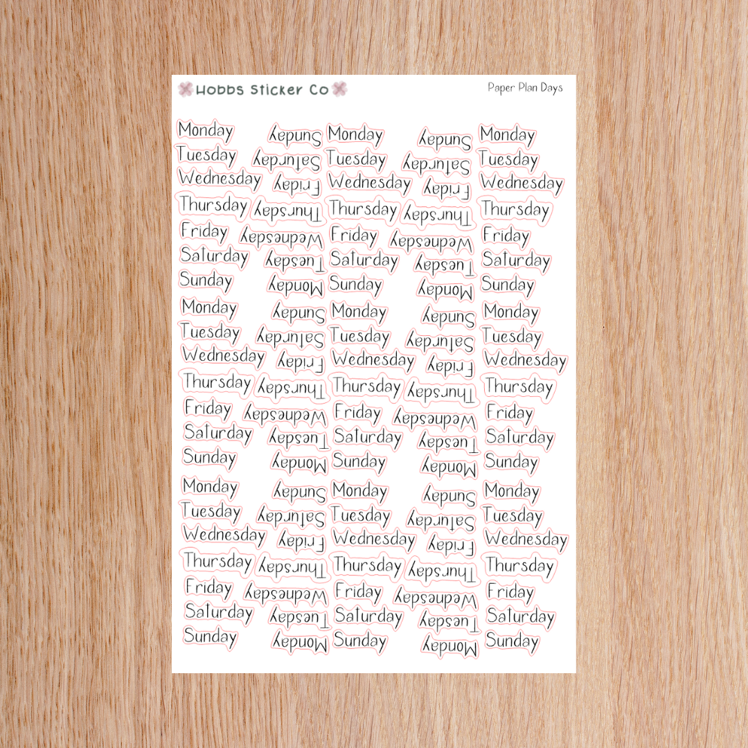 Paper Plan 2.0 Planner Setup Collection Bound Regular