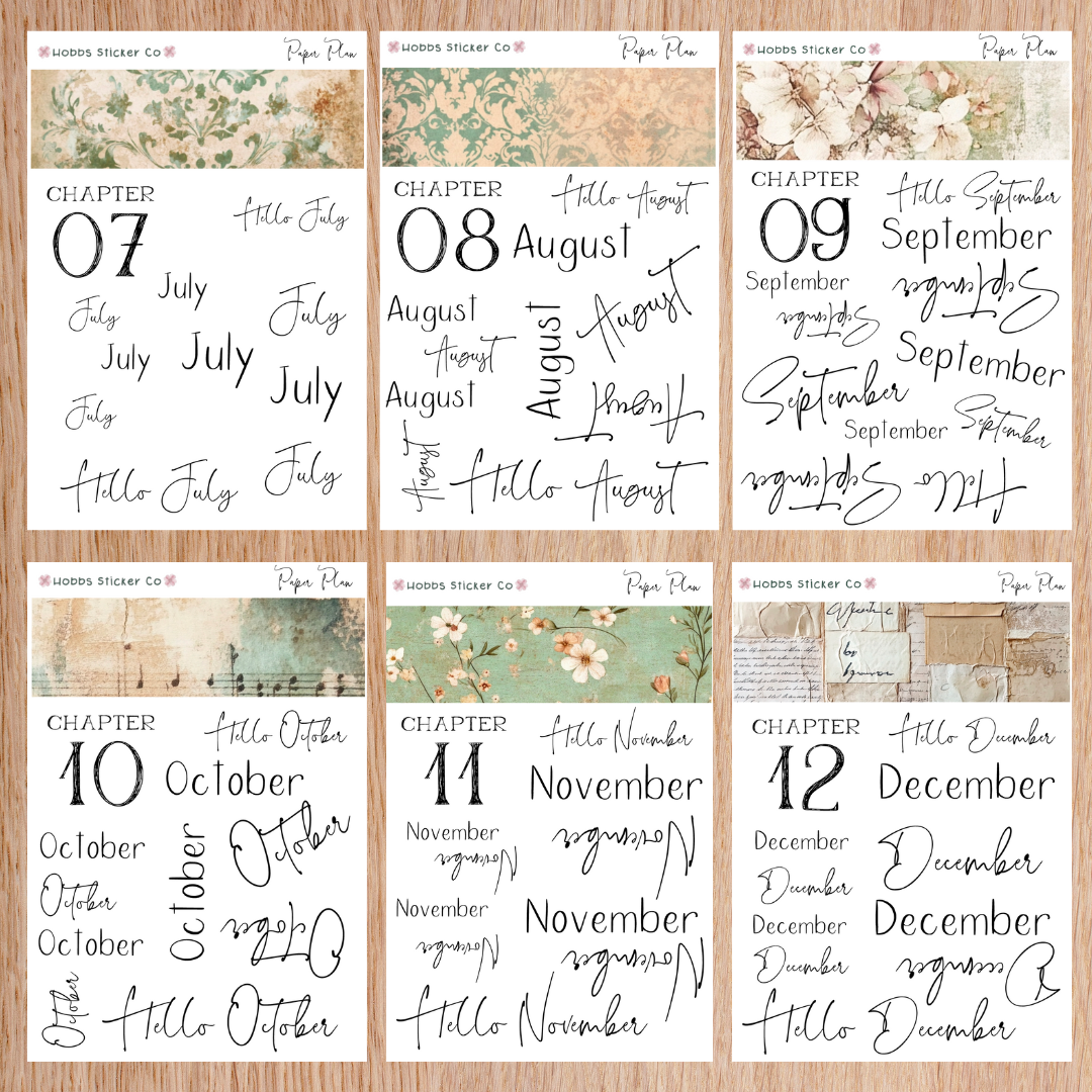 Paper Plan 2.0 Planner Setup Collection Bound Regular