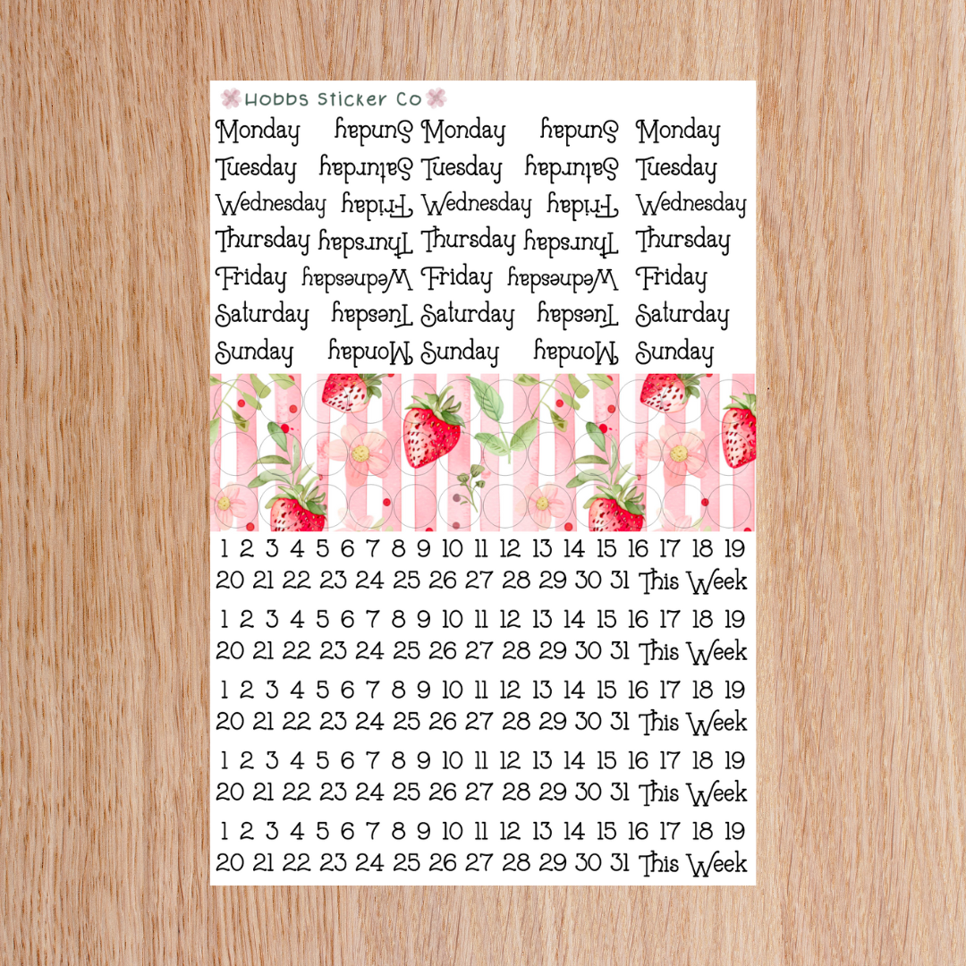 Strawberry Fields Forever Days and Numbers Scripts Regular