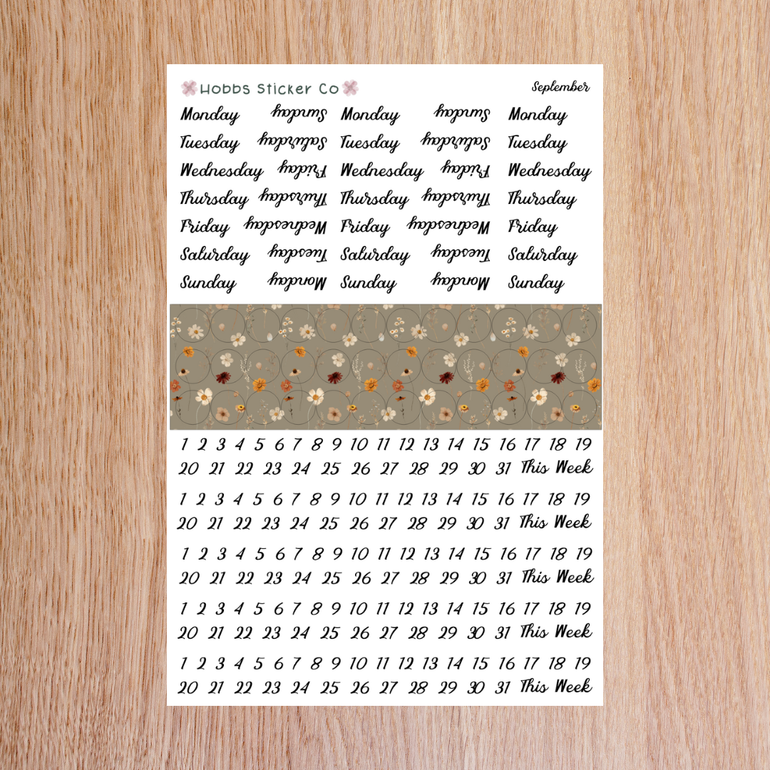 September Days and Numbers Scripts Junior