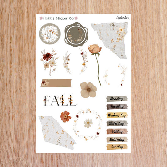 September Full Collection Junior