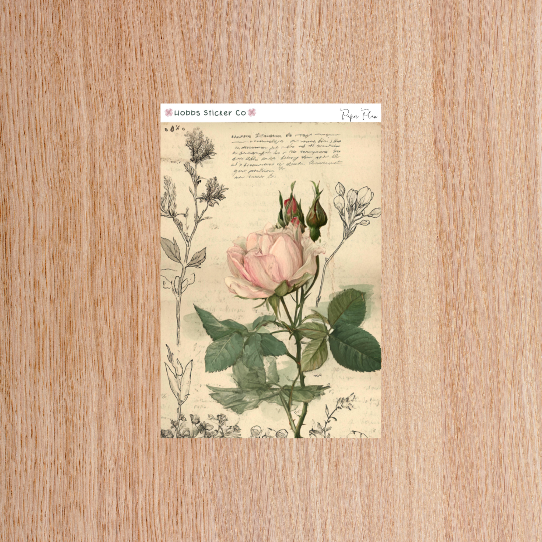 Paper Plan 2.0 Planner Setup Collection Bound Regular