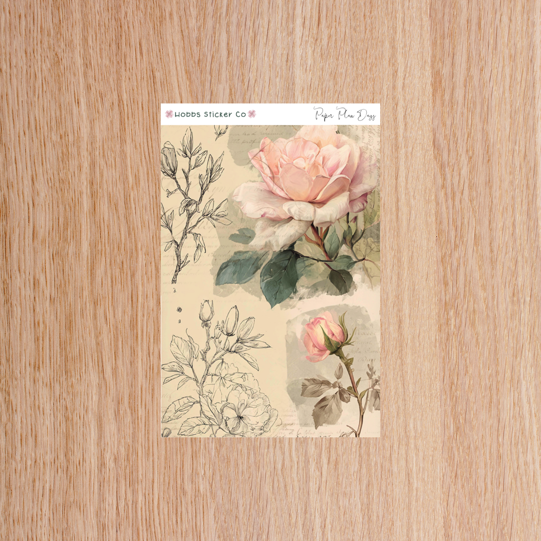 Paper Plan 2.0 Planner Setup Collection Bound Regular