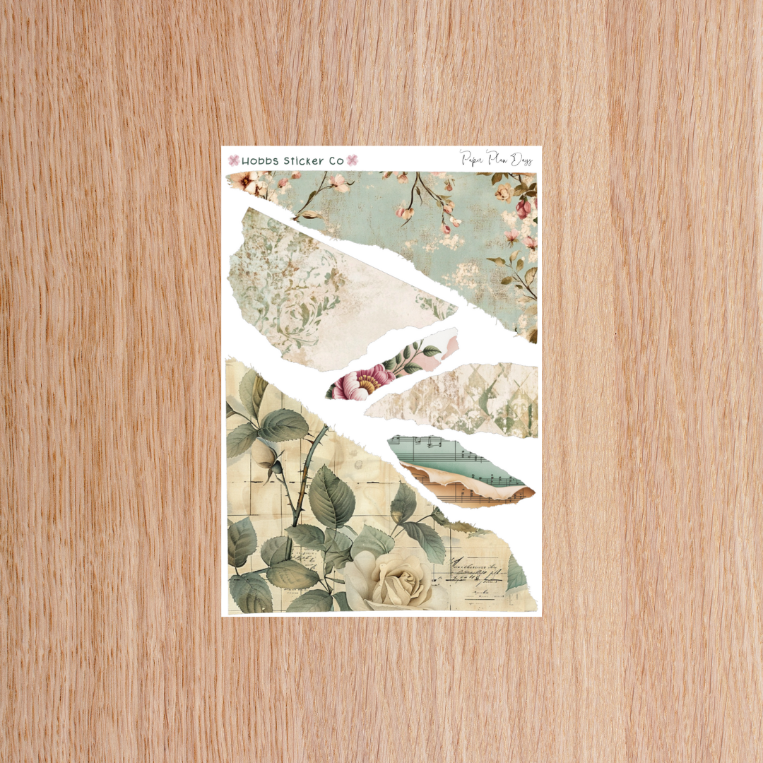 Paper Plan 2.0 Planner Setup Collection Bound Regular