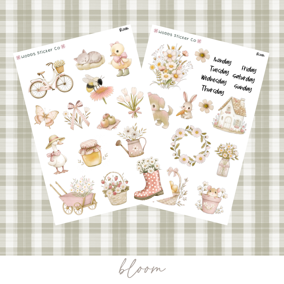 Bloom