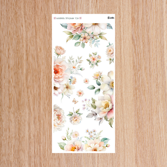 Bloom Edges Regular