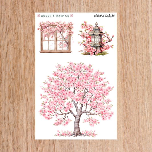 Sakura, Sakura Scenes Regular