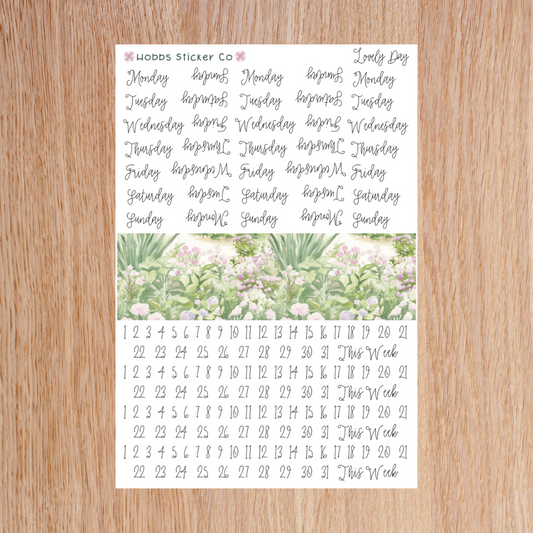 Lovely Day Days and Numbers Scripts Junior