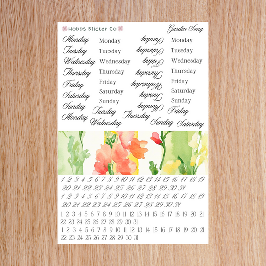 Garden Song Days and Numbers Junior