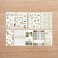 Spring Spring Spring Full Collection Regular