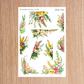 Garden Song Full Collection Regular
