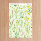 Garden Song Full Collection Junior