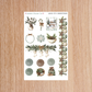 Like it's Christmas Full Collection Junior - Premium Matte