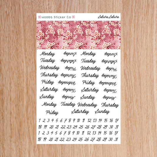 Sakura, Sakura Days and Numbers Junior