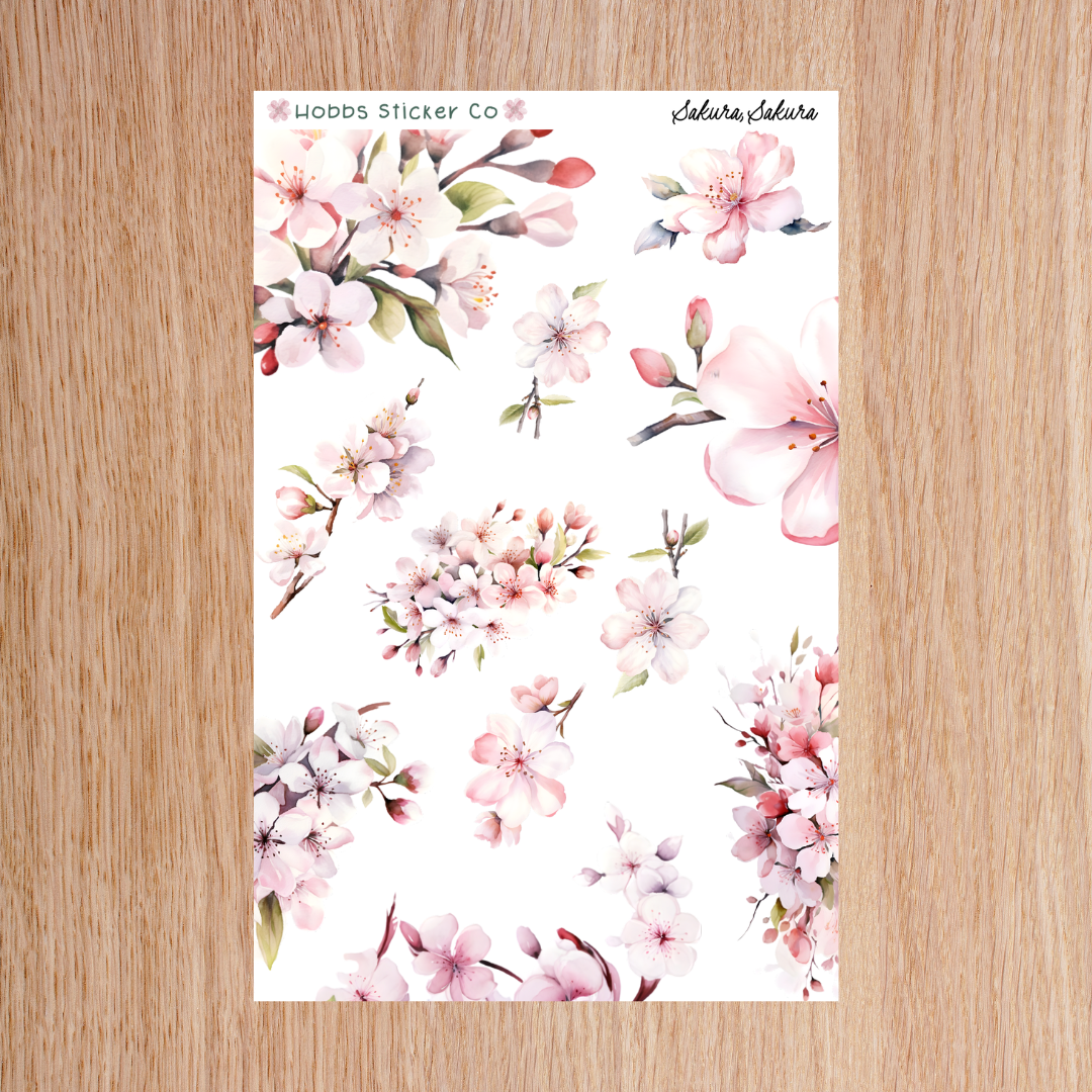 Sakura, Sakura Edges Regular