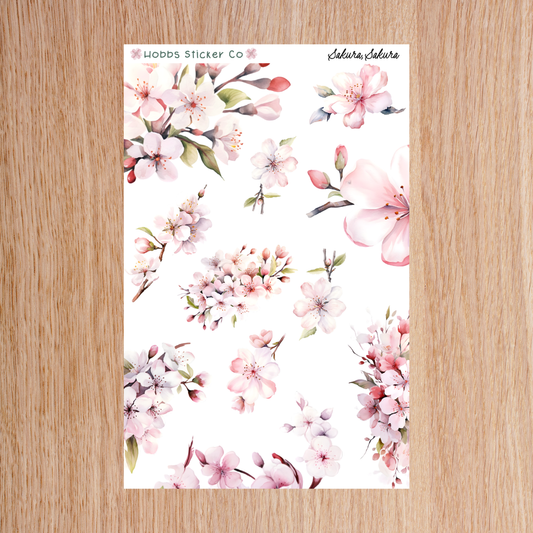 Sakura, Sakura Edges Regular