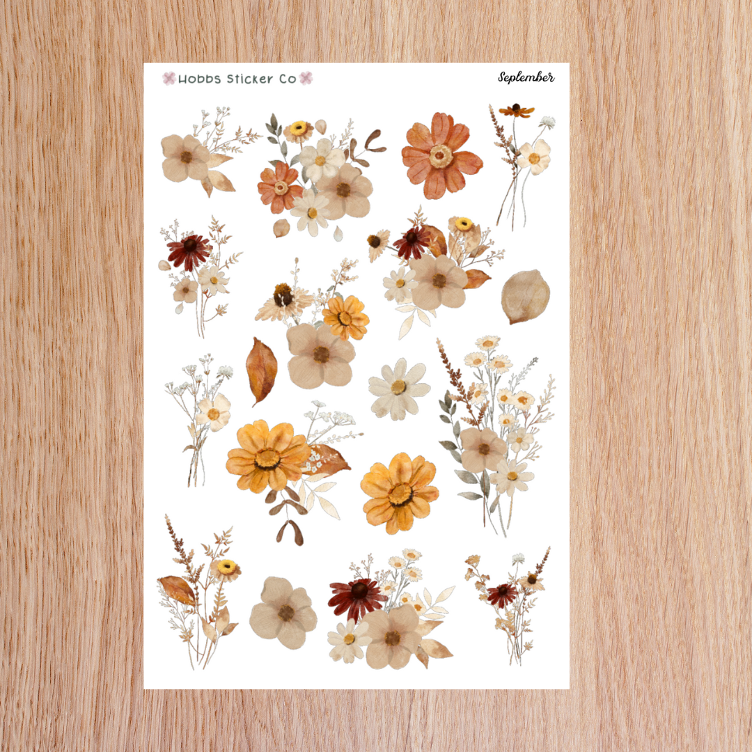 September Deco Junior