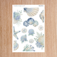 Soak Up the Sun Full Subscription Collection Regular