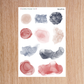 Soak Up the Sun Full Subscription Collection Regular